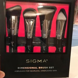 Sigma beauty brush set go an extra set don’t need